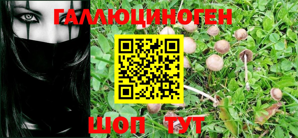 МЕТАДОН Губкинский