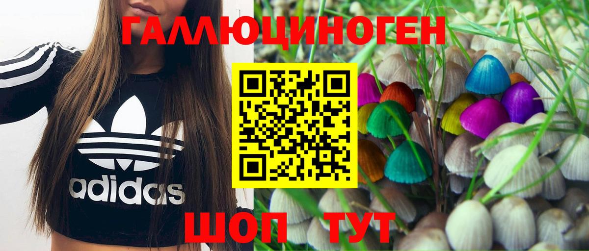 Псилоцибиновые грибы мухоморы Губкинский
